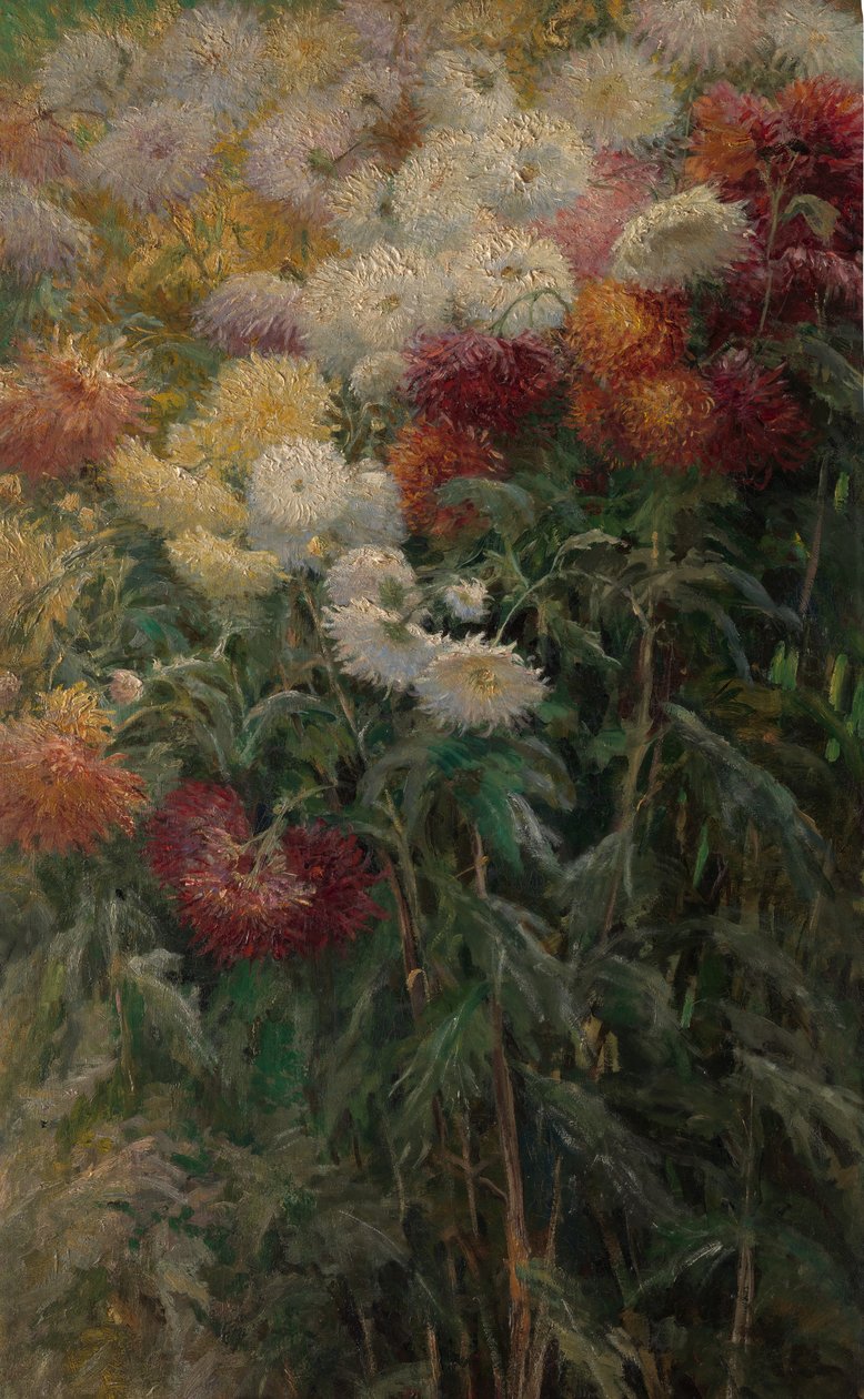 Krysantemum i haven ved Petit-Gennevilliers, 1893. af Gustave Caillebotte