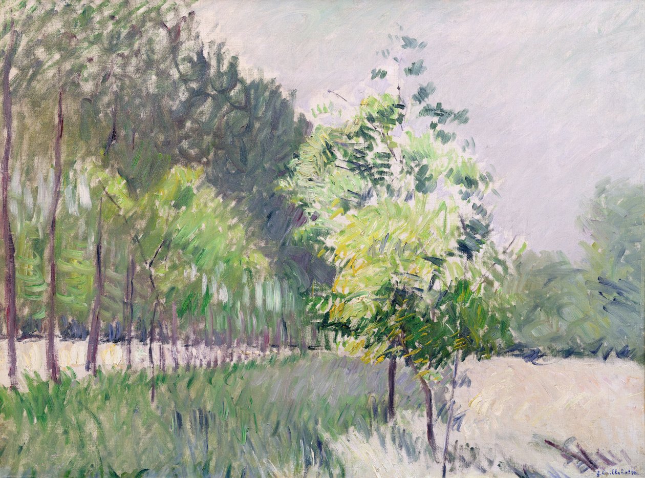 Frugthave og allé af træer af Gustave Caillebotte