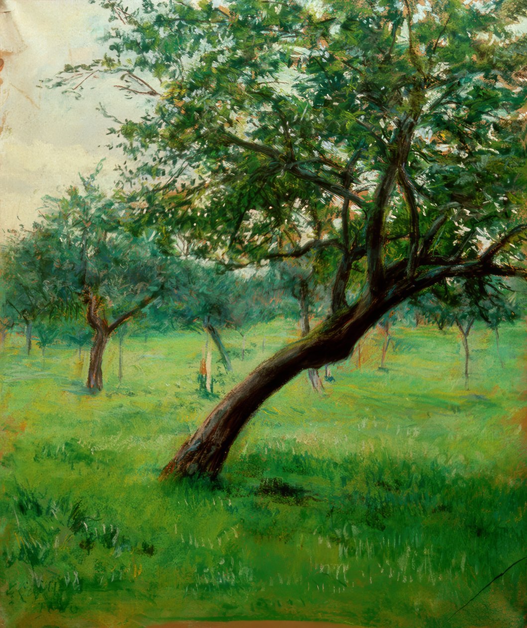 Verger, også kendt som Verger i Normandiet af Gustave Caillebotte