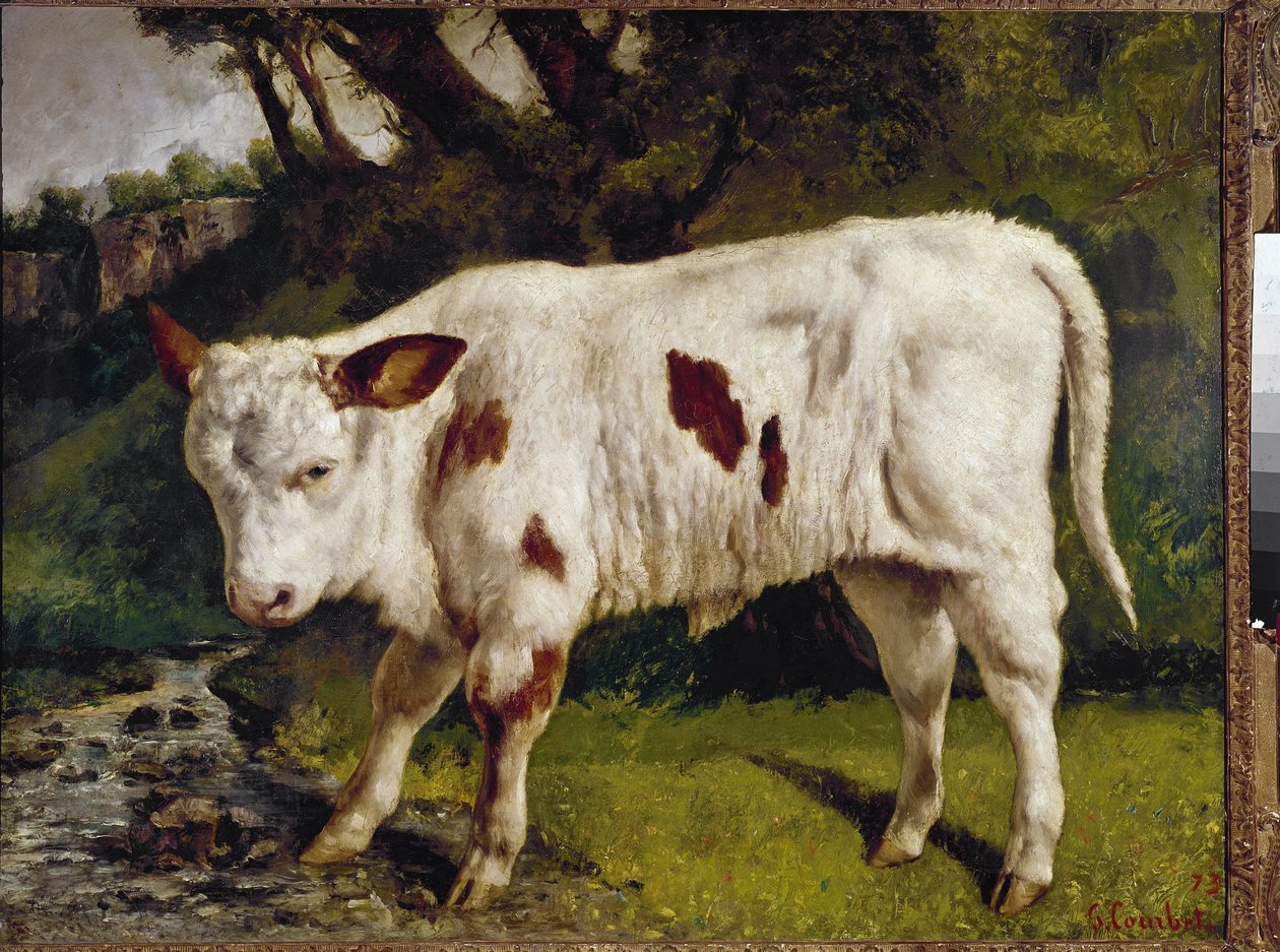 Kalven af Gustave Courbet