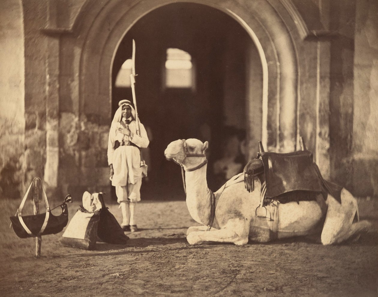 Kamel liggende, ca. 1866 (fotogravure) af Gustave Le Gray