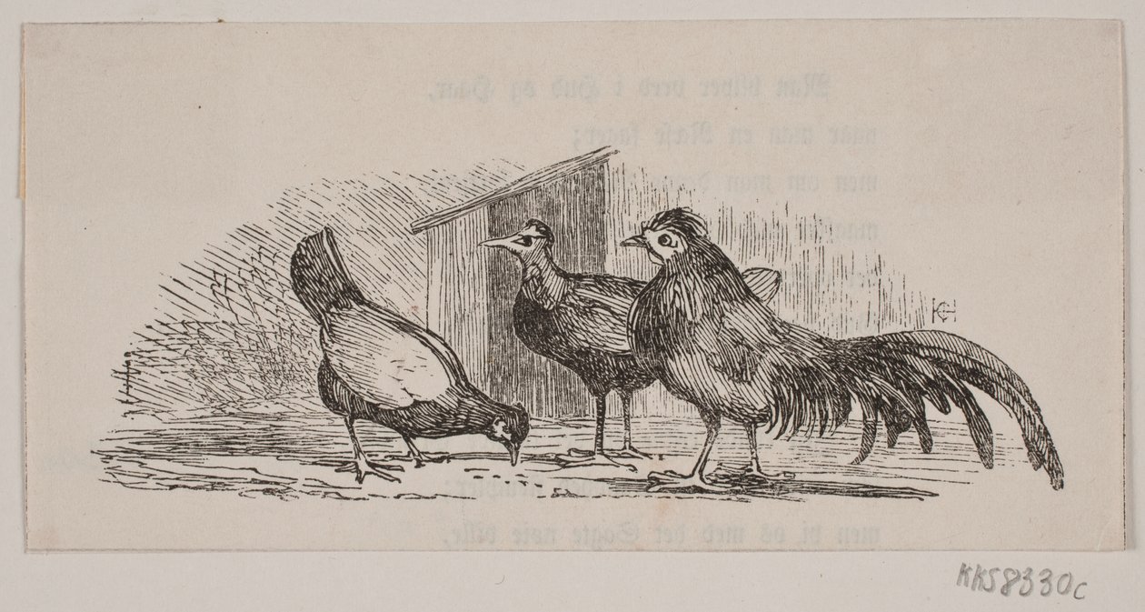 Tre høns af H. C. Henneberg