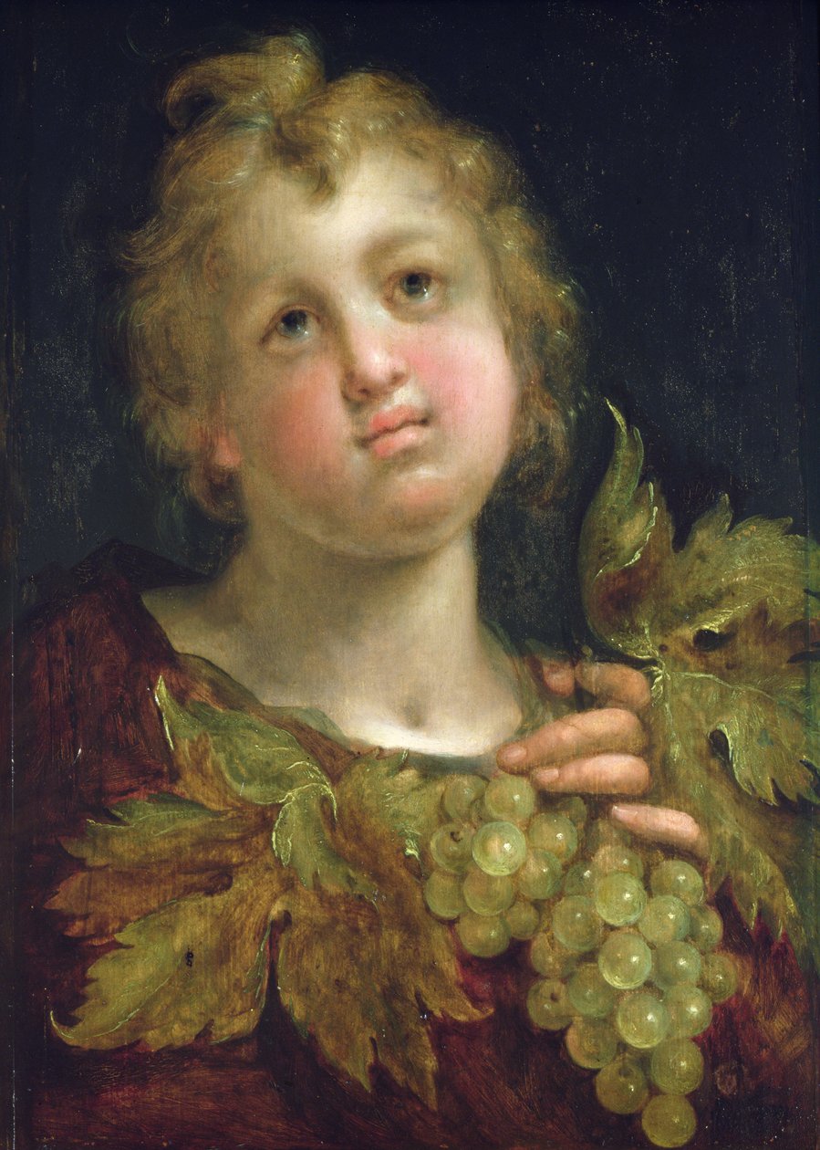 Dreng med en drueklase, 1600-5 af Hans von Aachen