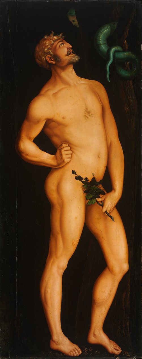 Adam af Hans Baldung Grien
