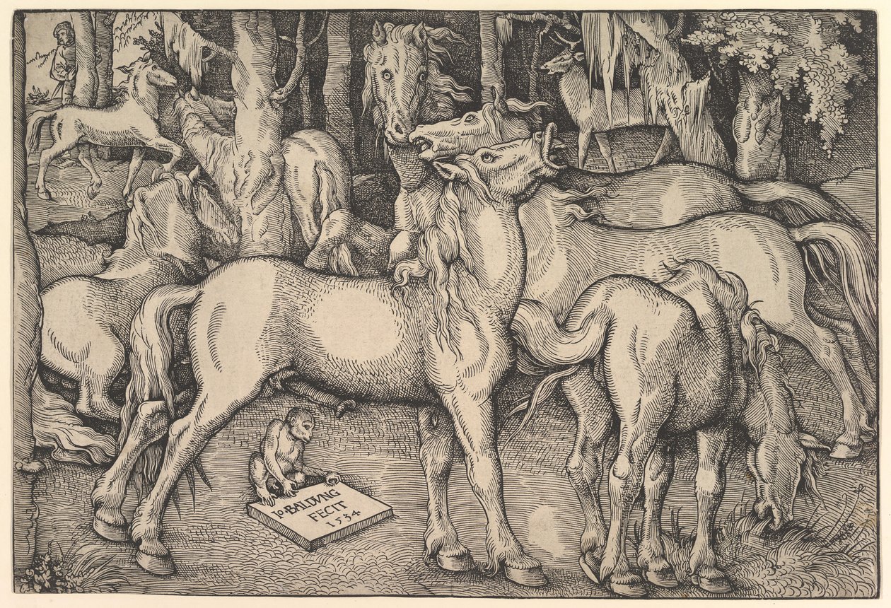 Gruppe af syv heste, 1534. af Hans Baldung