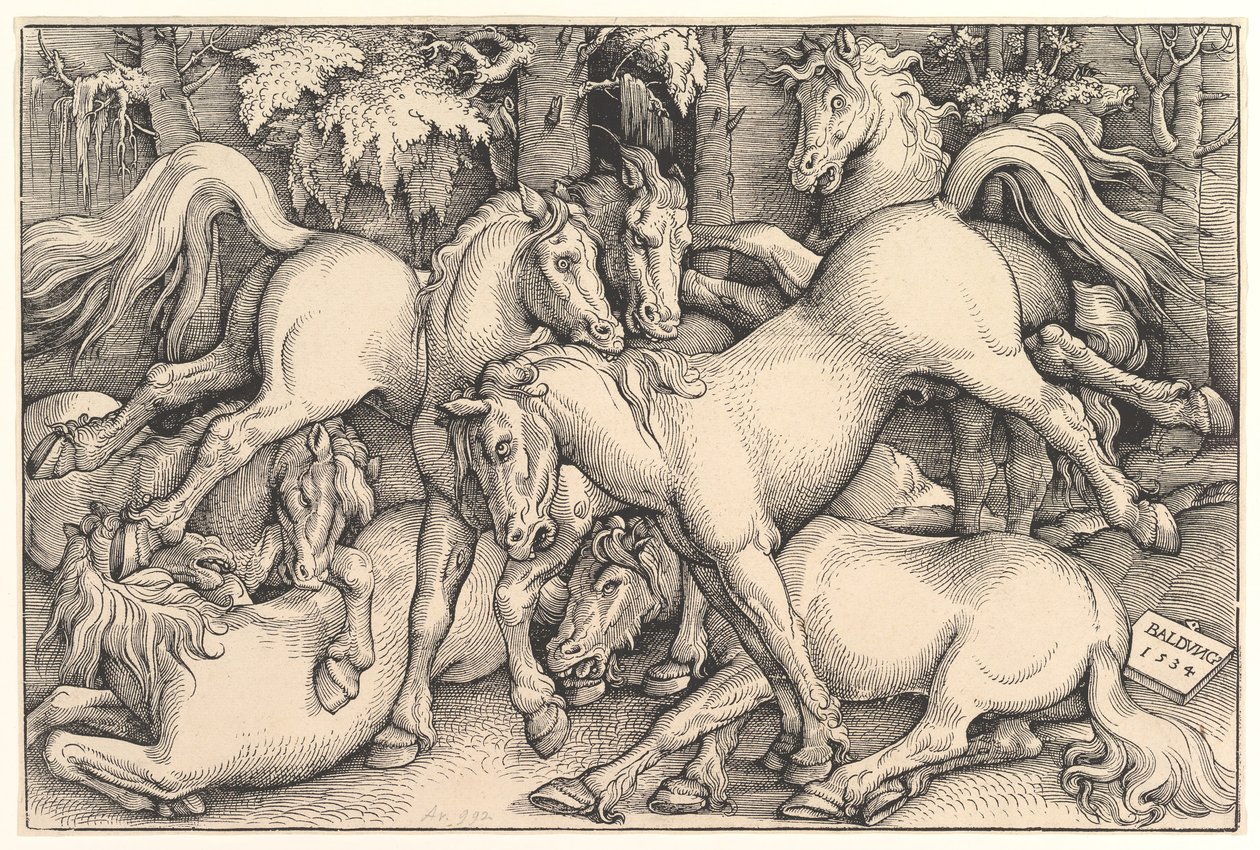 Gruppe af syv heste, 1534. af Hans Baldung