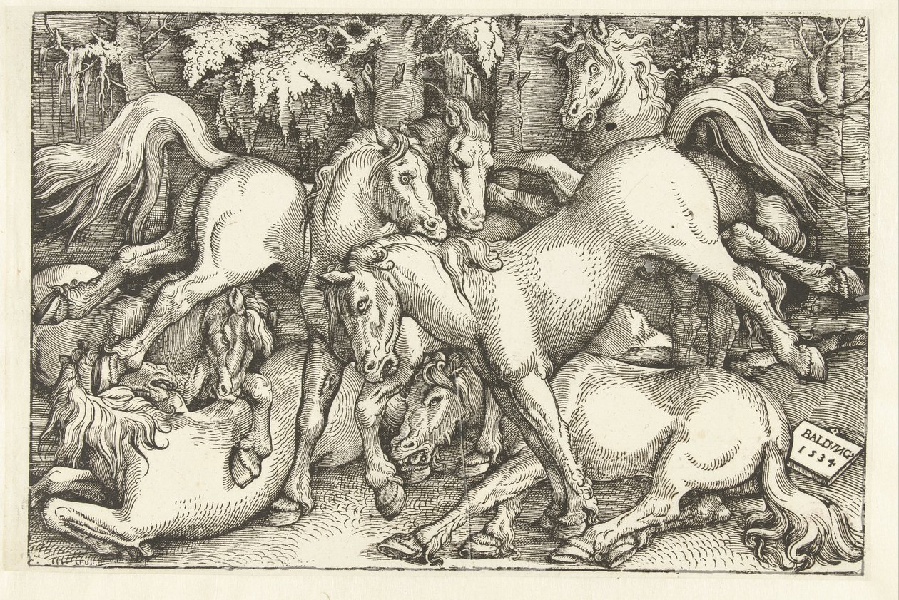Gruppe på syv kampheste af Hans Baldung Grien