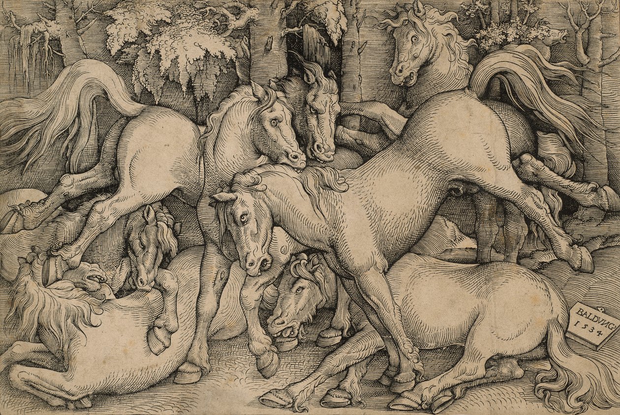 Vilde heste kæmper af Hans Baldung Grien