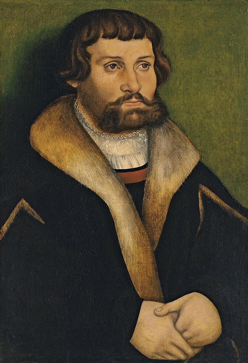 Portræt af en skægget mand af Hans Cranach