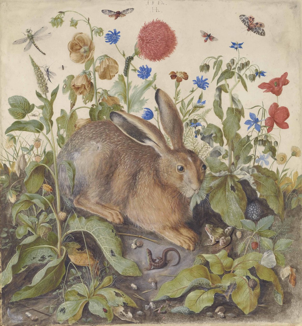 En hare blandt planter, 1582 af Hans Hoffmann