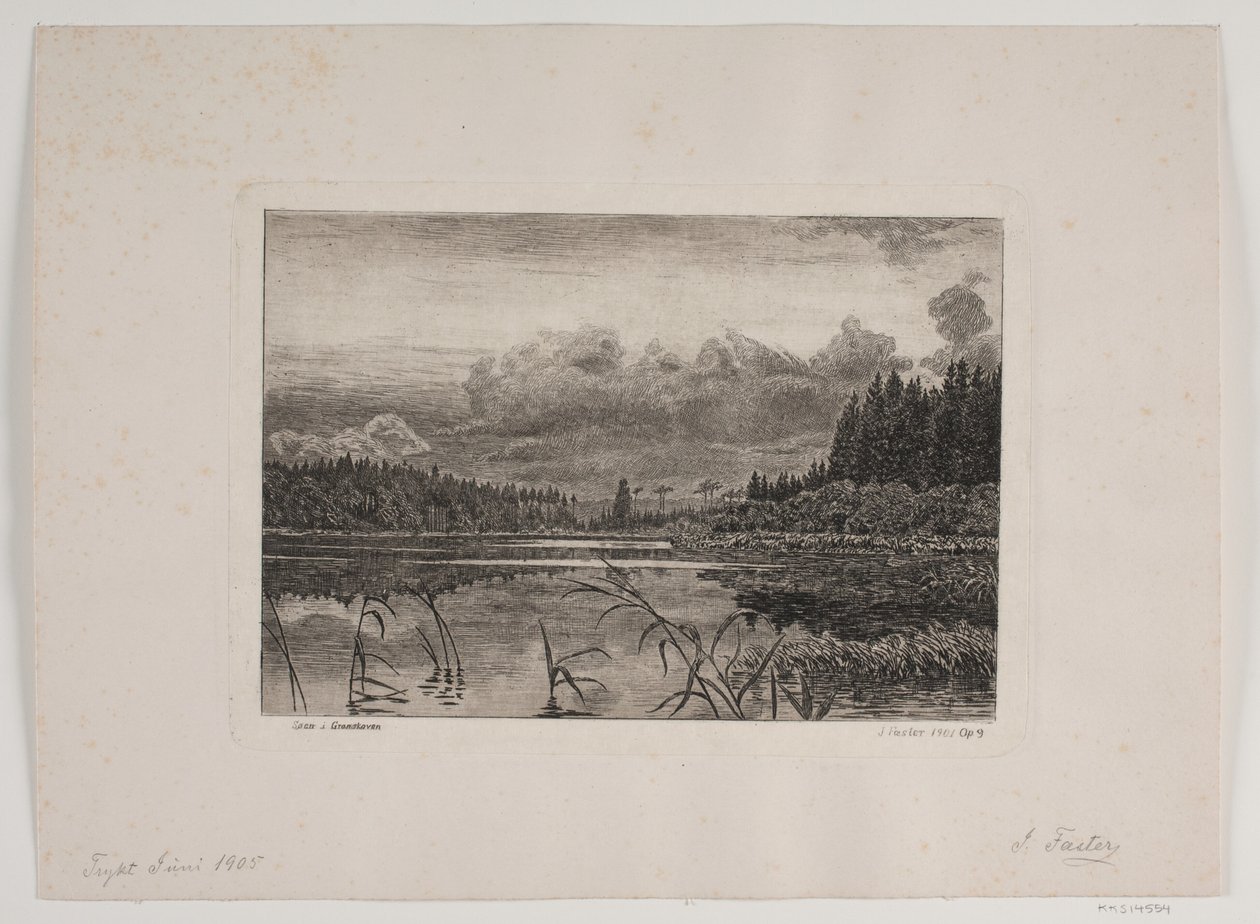 Søen i granskoven af Hans Julius Fæster