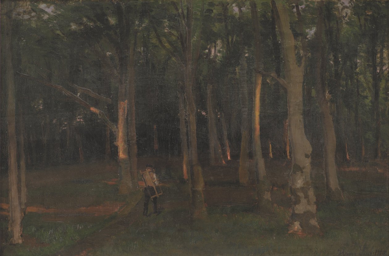 Skov ved solnedgang af Hans Smidth