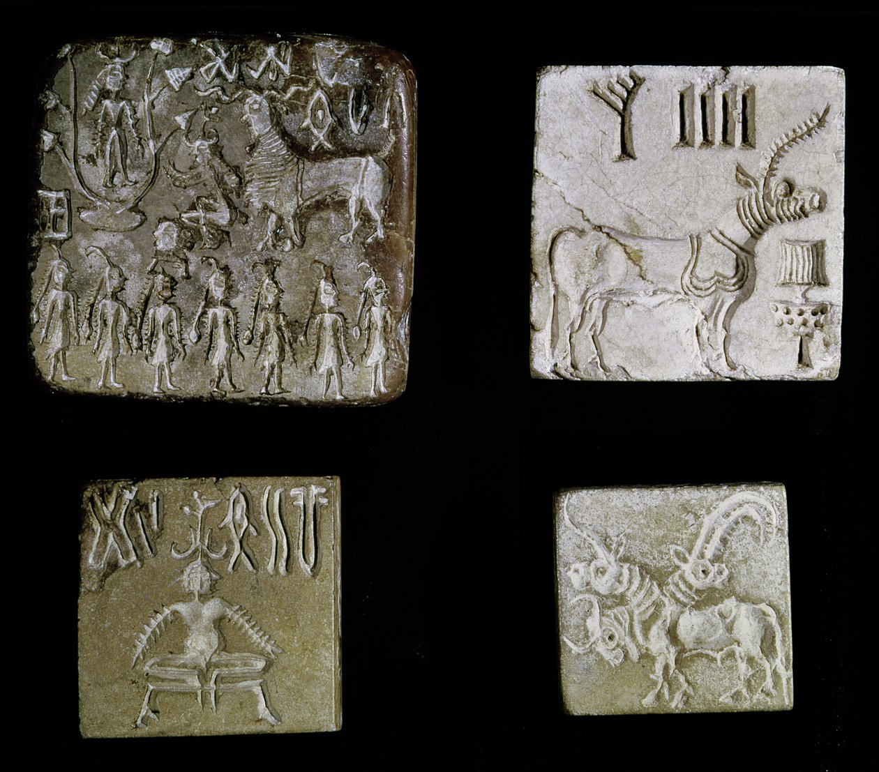 Fire sæler, der forestiller mytologiske dyr, fra Mohenjo-Daro, Indusdalen, Pakistan, 3000-1500 f.Kr. af Harappan