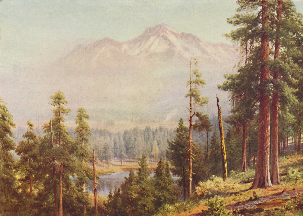 Mount Shasta, 1916 af Harold Sutton Palmer