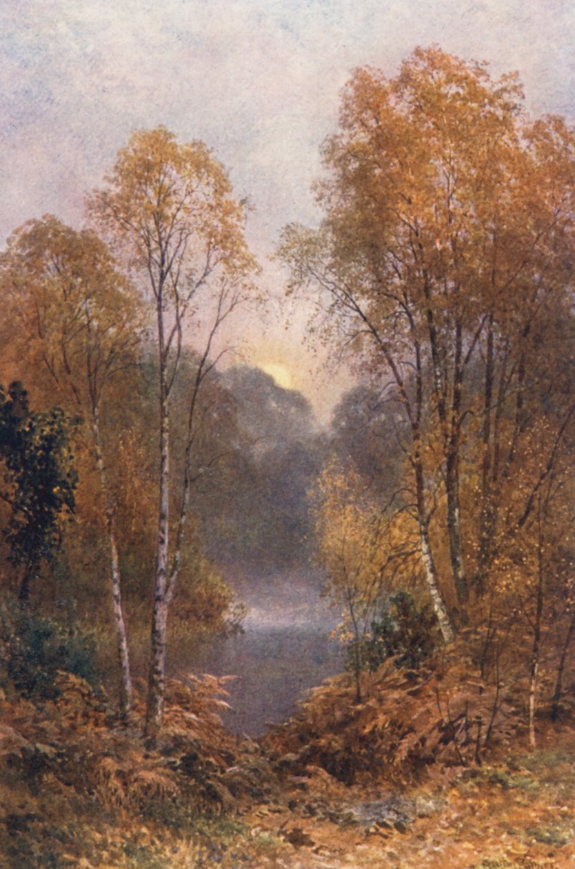 The Autumn Moon (farvelitografi) af Harold Sutton Palmer