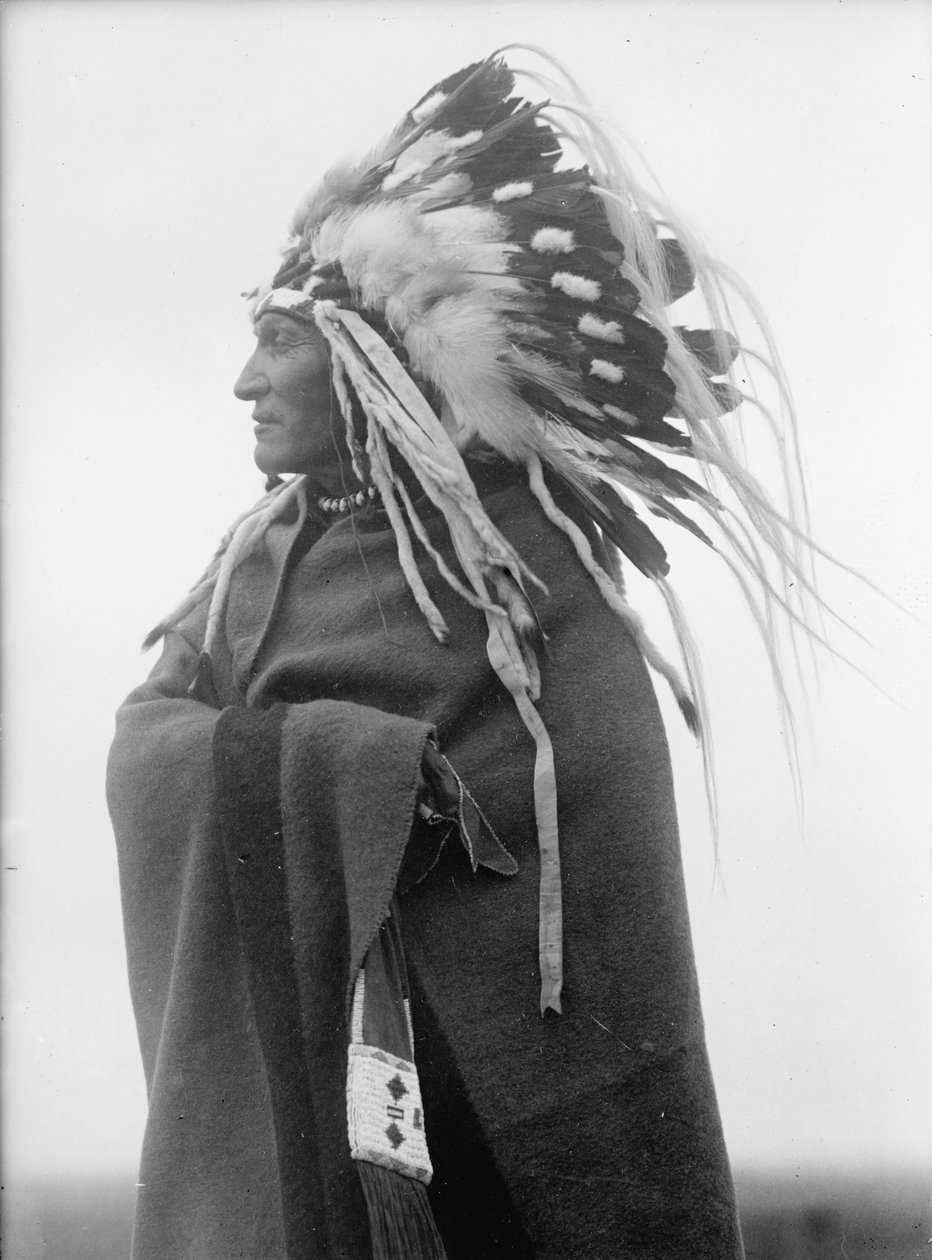 Lazy Boy, indianerhøvding af Harris & Ewing