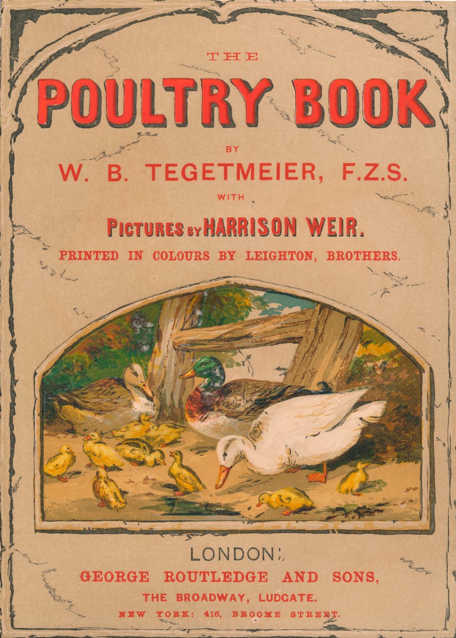 Fjerkræbogen, 1867. af Harrison Weir