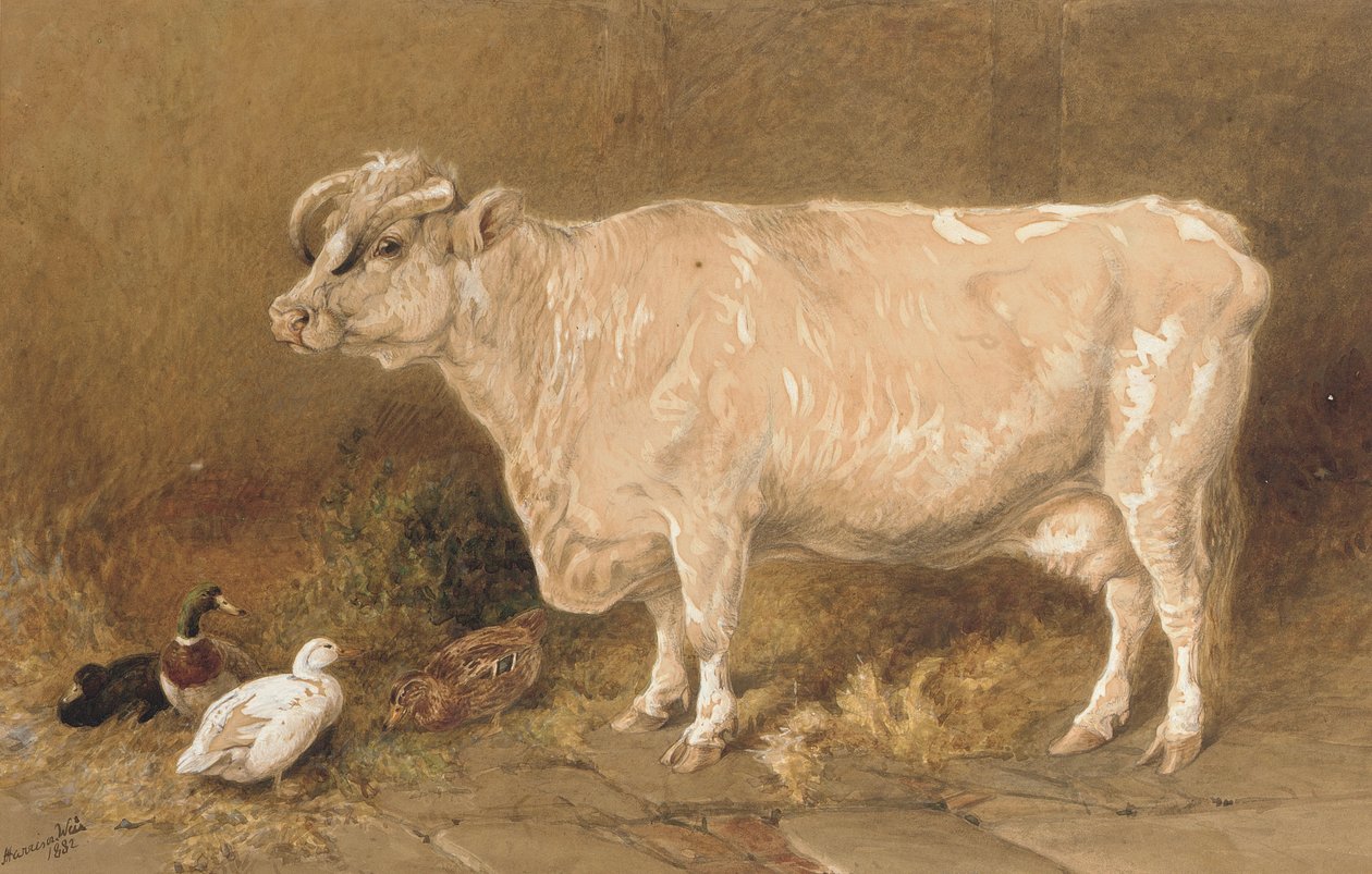 Ko med ænder i en stald af Harrison William Weir