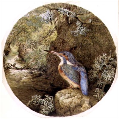Isfuglens tilholdssted af Harrison William Weir