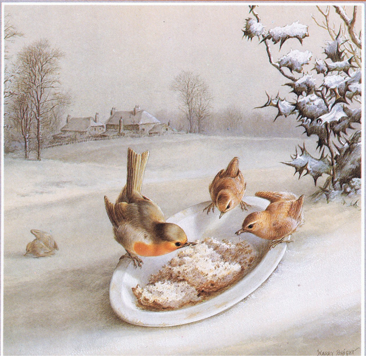 Robins and Wrens: Vintermorgenmad, postkort af Harry Bright