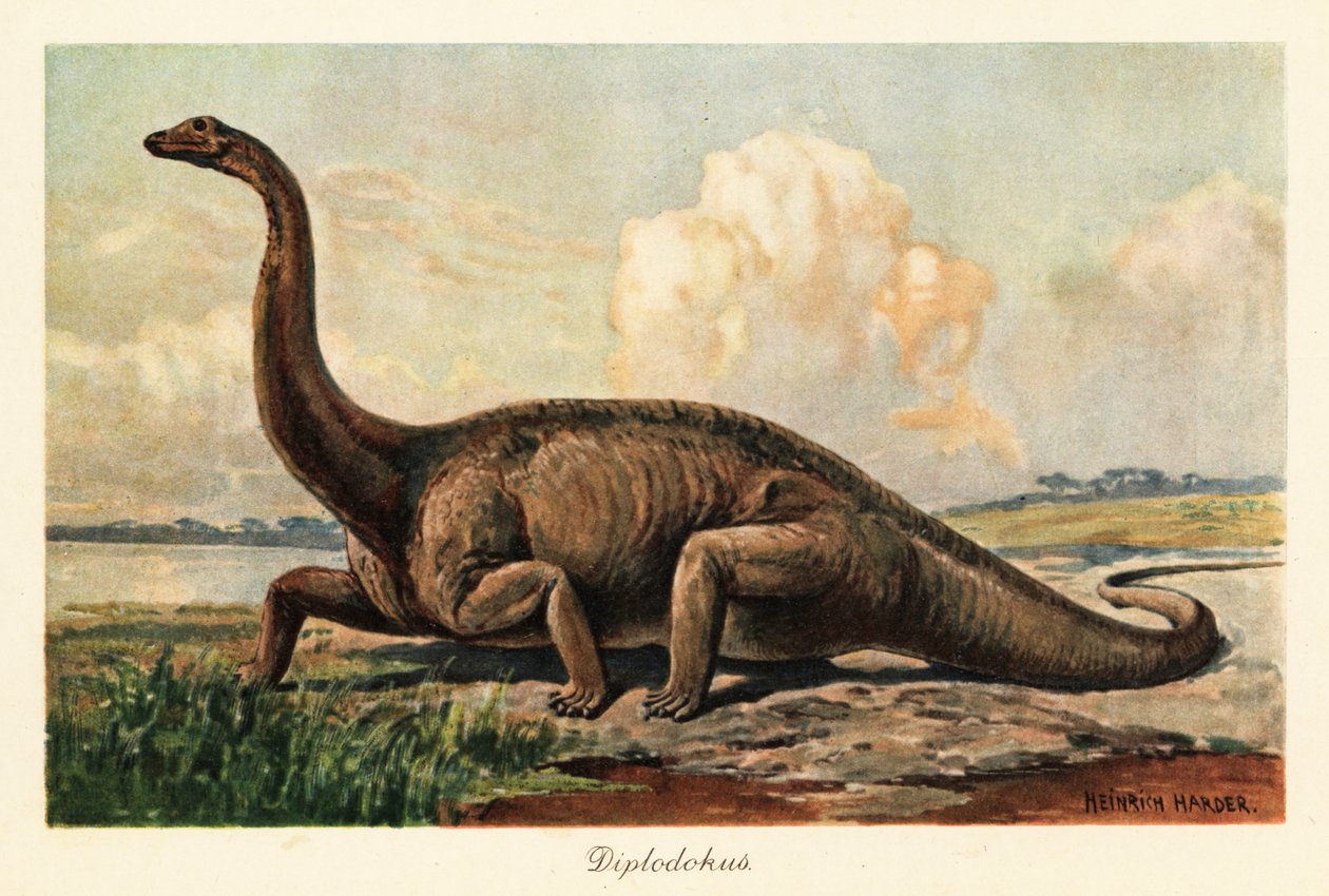 Uddøde Diplodocus longus på sletterne. af Heinrich Harder