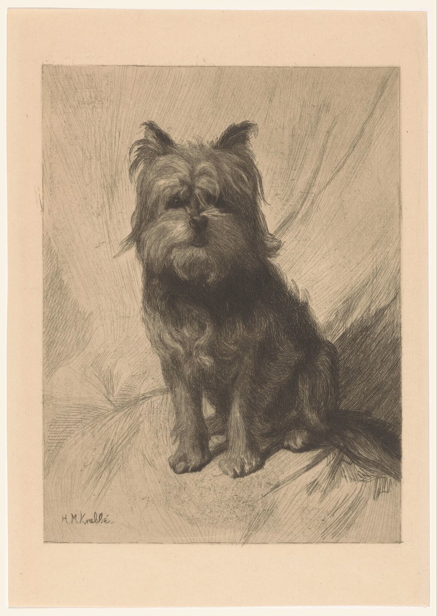 hollandsk smoushond af Heinrich M. Krabbé
