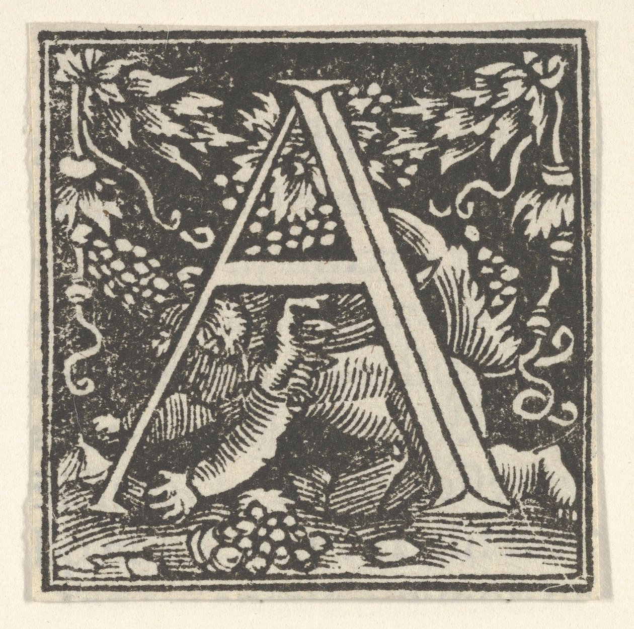 Forbogstav A med putto, ca. 1538. af Heinrich Vogtherr