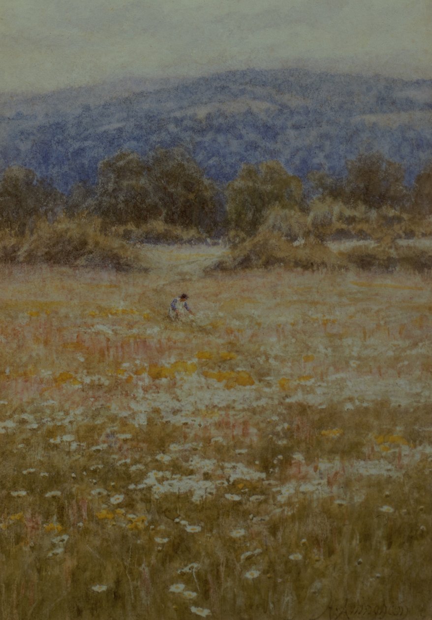Vælger tusindfryd i Westerham, Kent af Helen Allingham