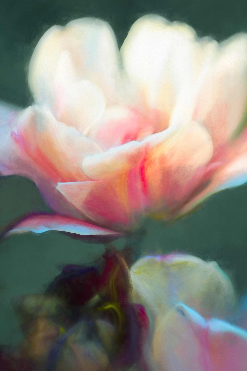 Emergence II, 2018, af Helen White