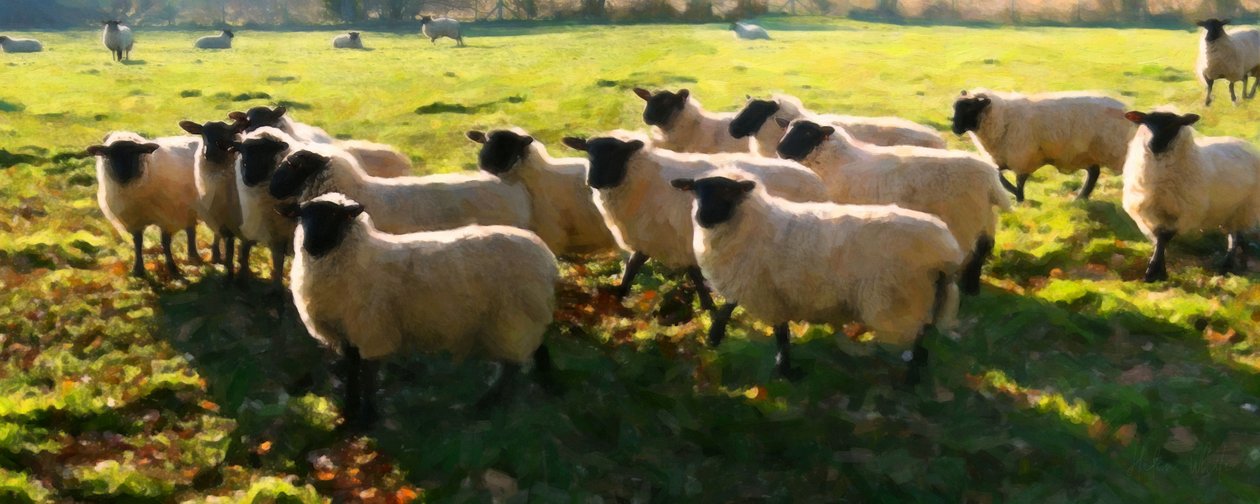 Flock Watching, 2018, af Helen White
