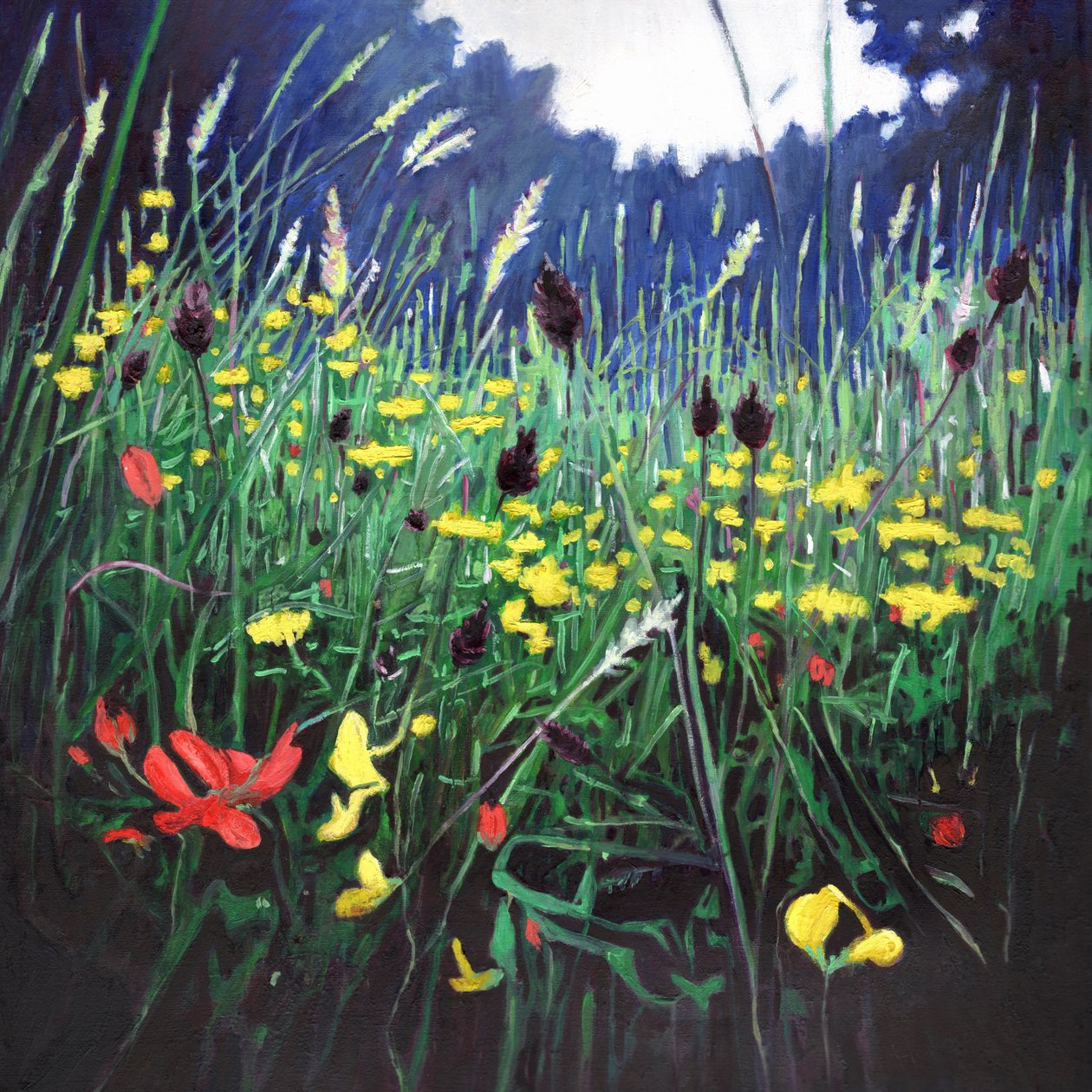 Meadow glory, 2015, af Helen White