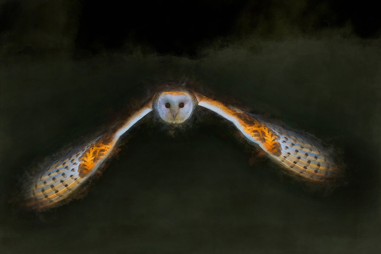 Natflyvning, 2018, af Helen White