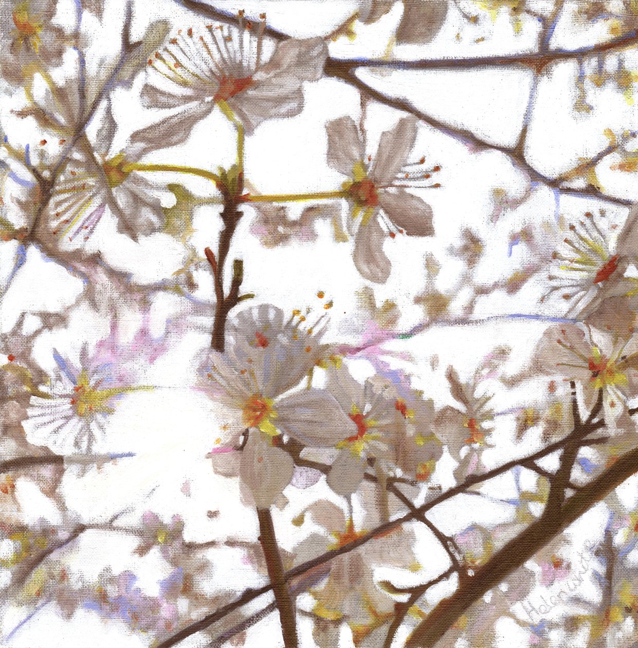 Præludium, 2014, af Helen White