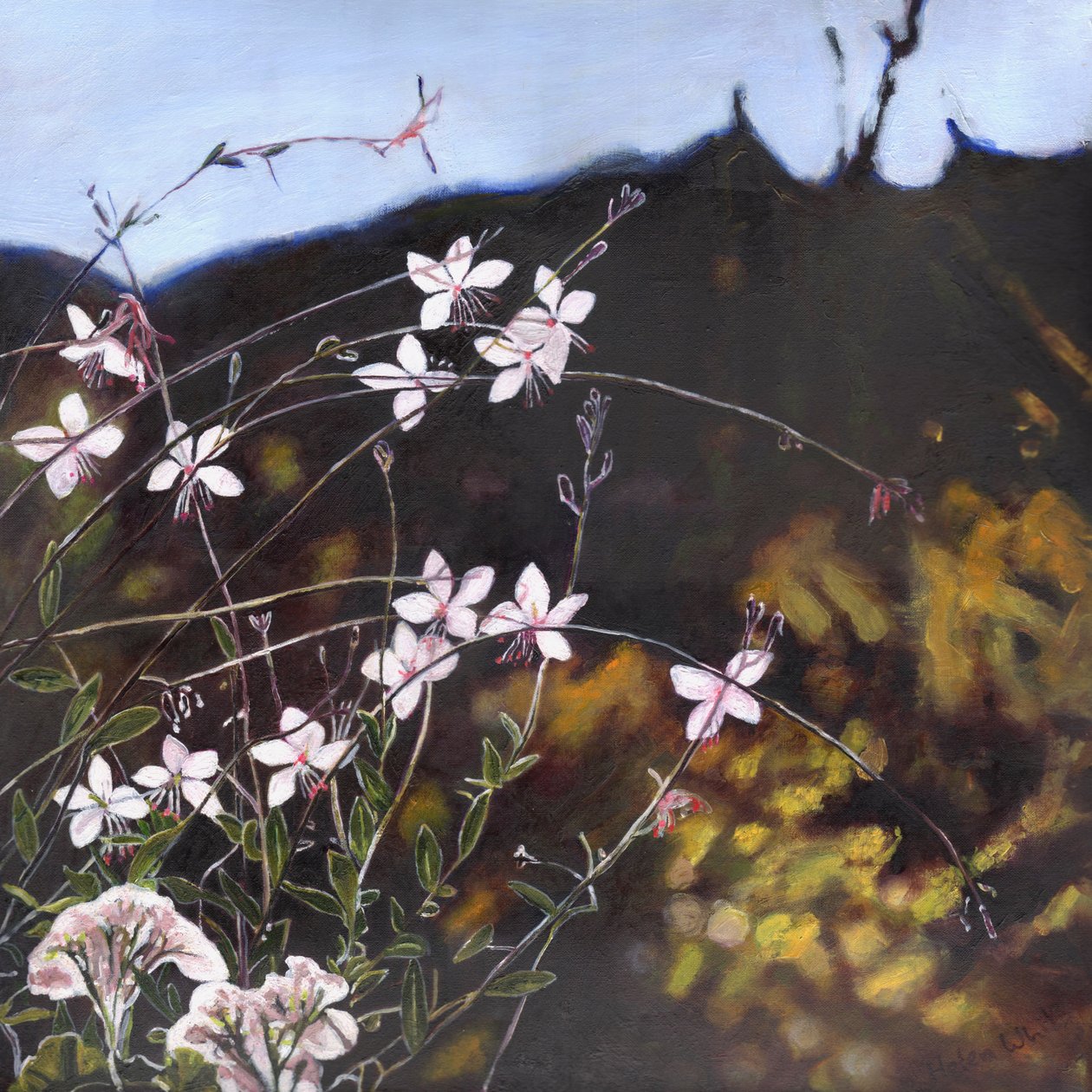 Provencalsk have I, 2014, af Helen White