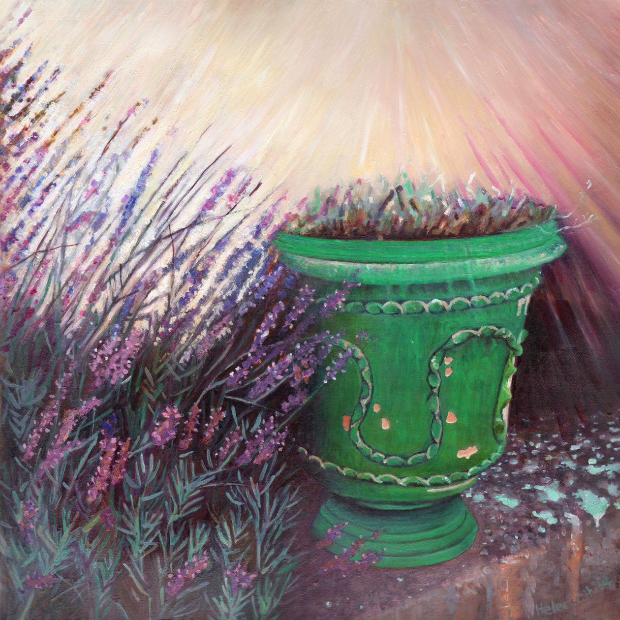 Provencalsk have II, 2014, af Helen White