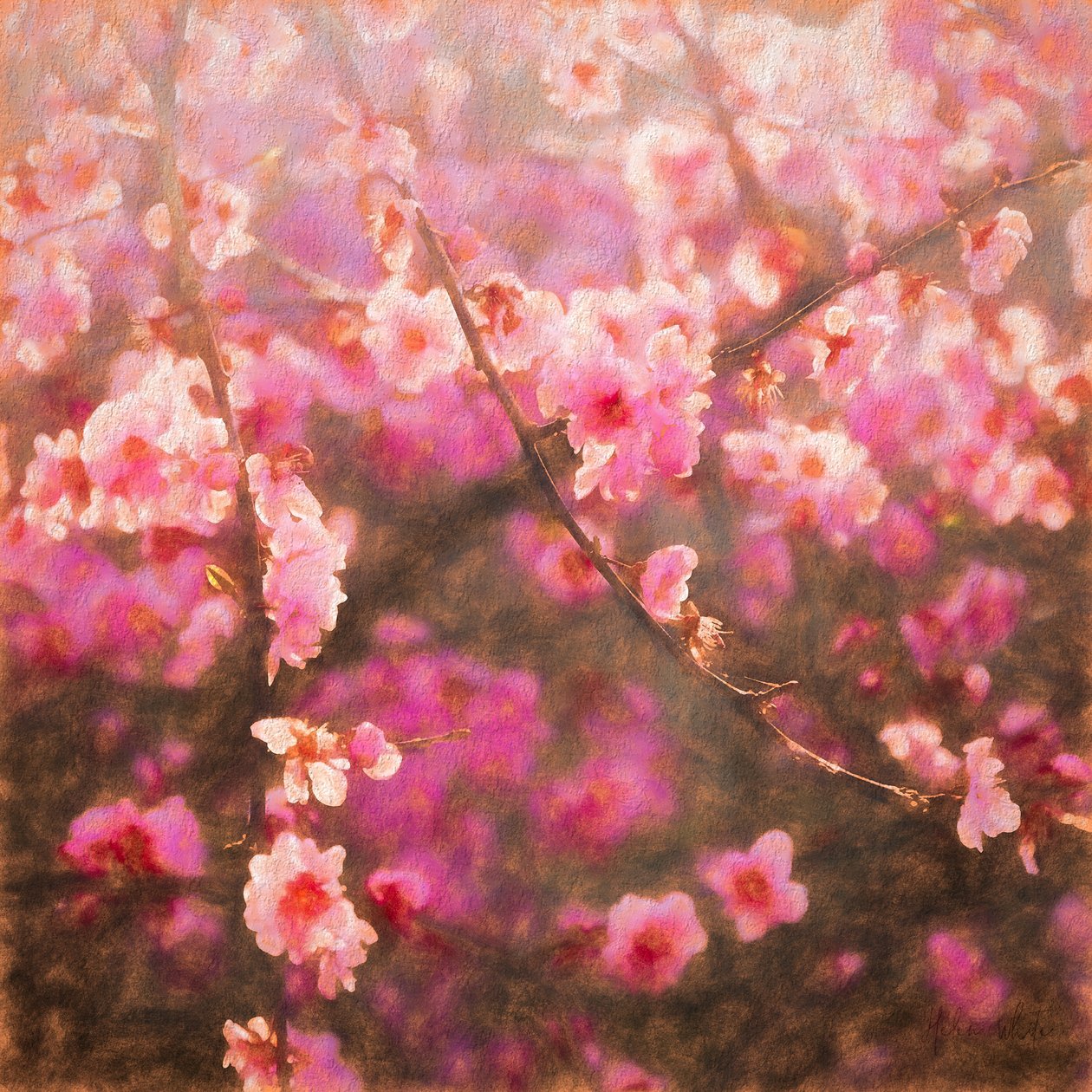Spring Sprung; 2018, blandede medier) af Helen White