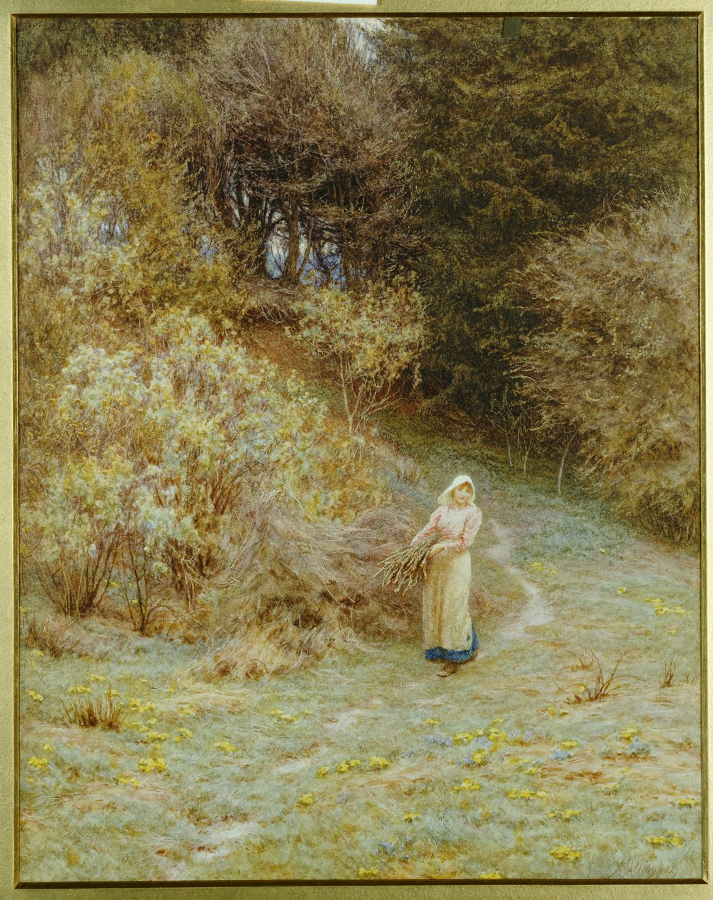 I Primrose Wood af Helen Allingham