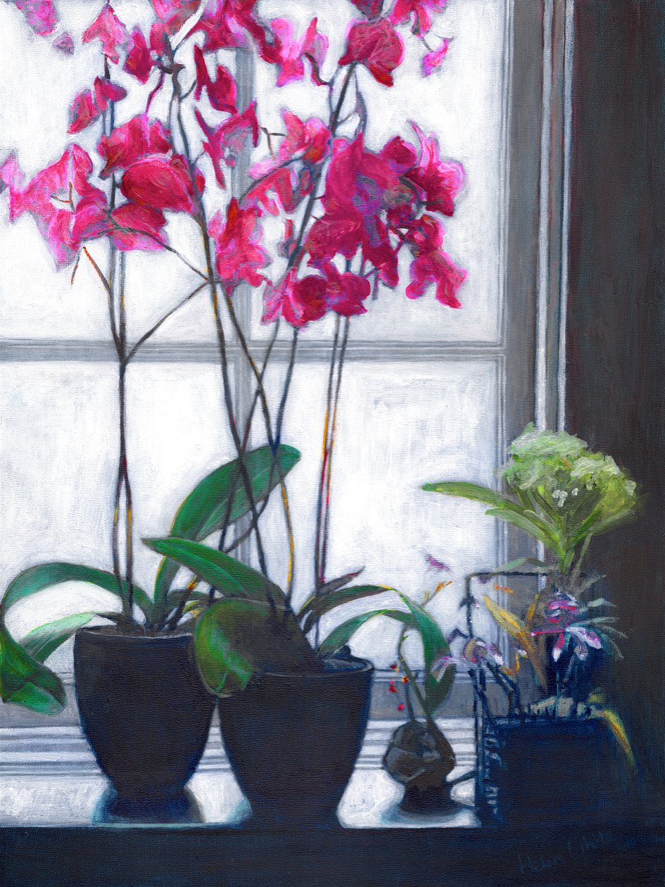 Amsterdam Window, 2021 af Helen White