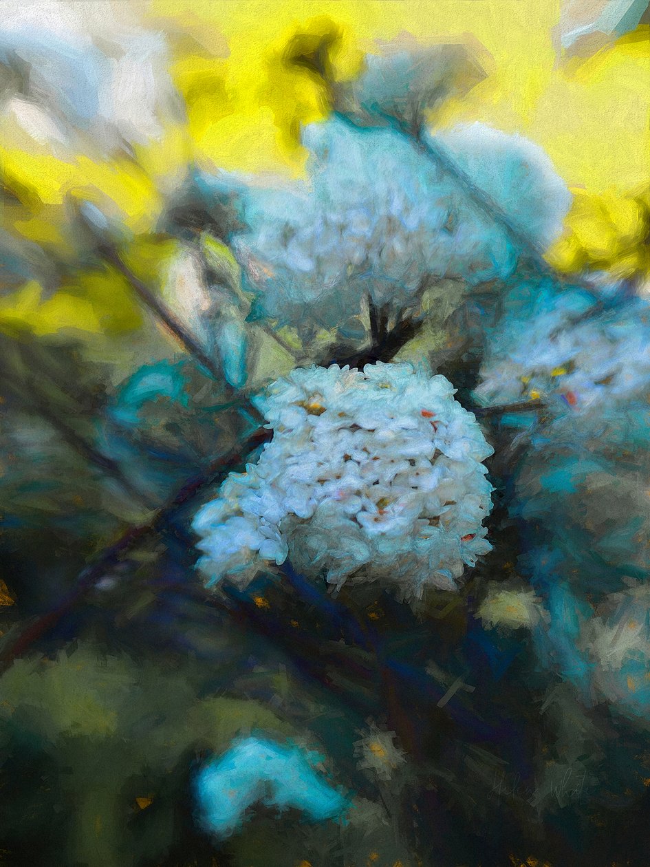 Blooming Maytime, 2019 af Helen White