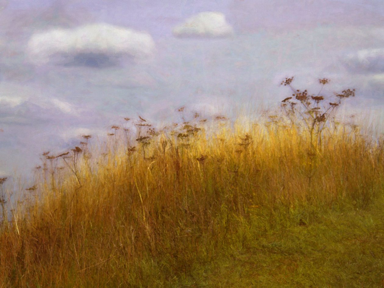 Drifting, 2019 af Helen White