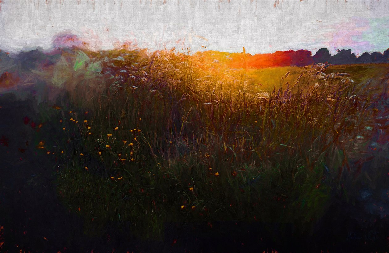 Midsommerglød, 2020 af Helen White
