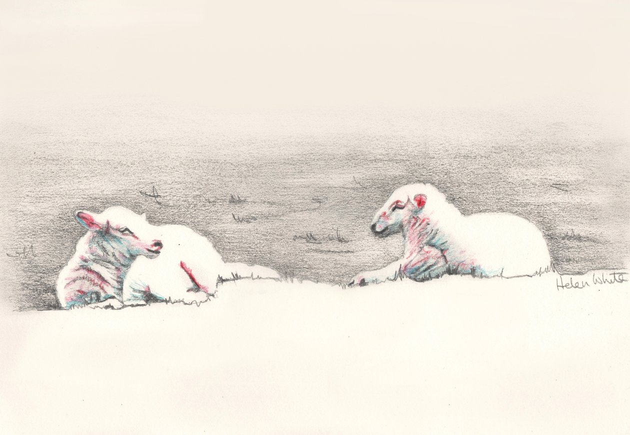 Napping, 2016, (blyantstegning) af Helen White
