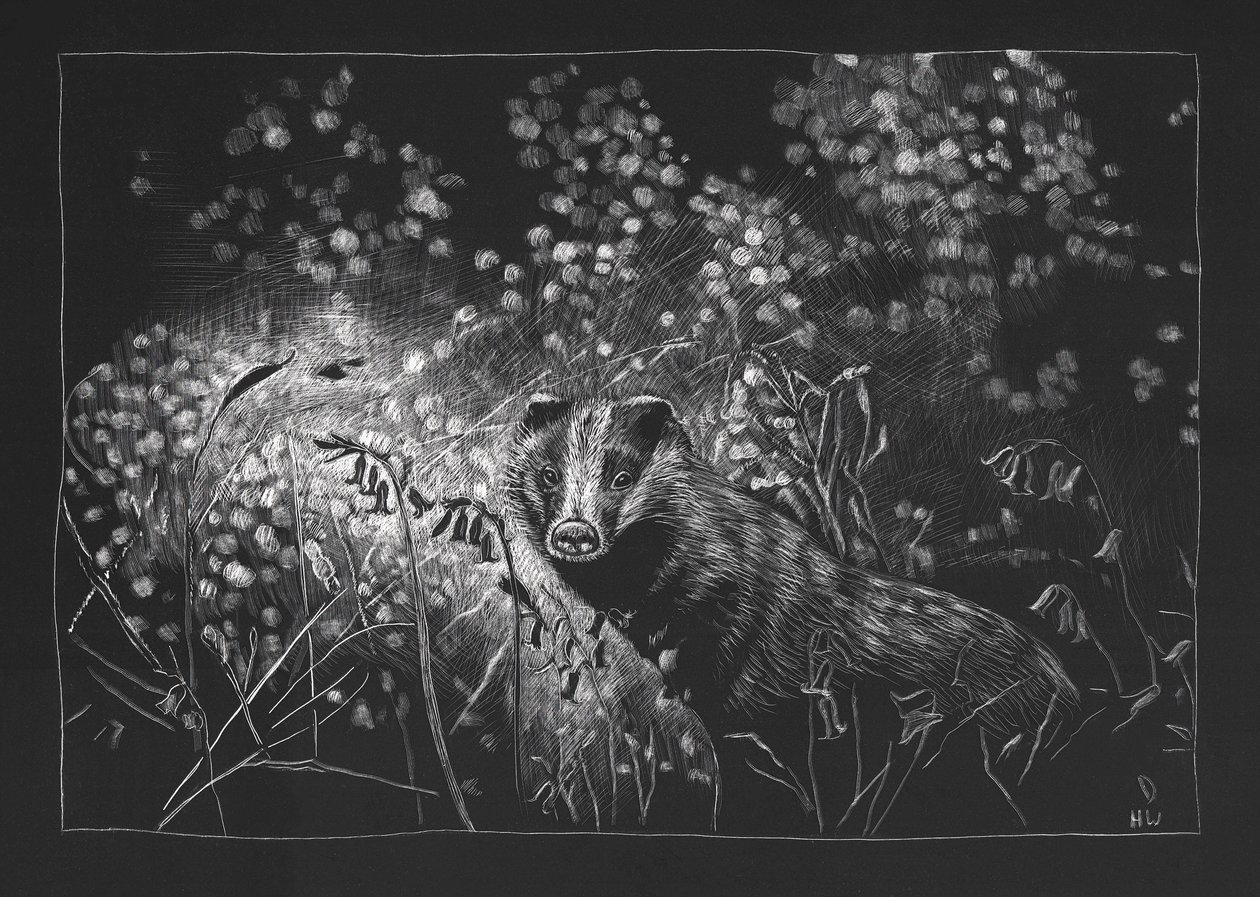 Spring Badger, 2023 af Helen White