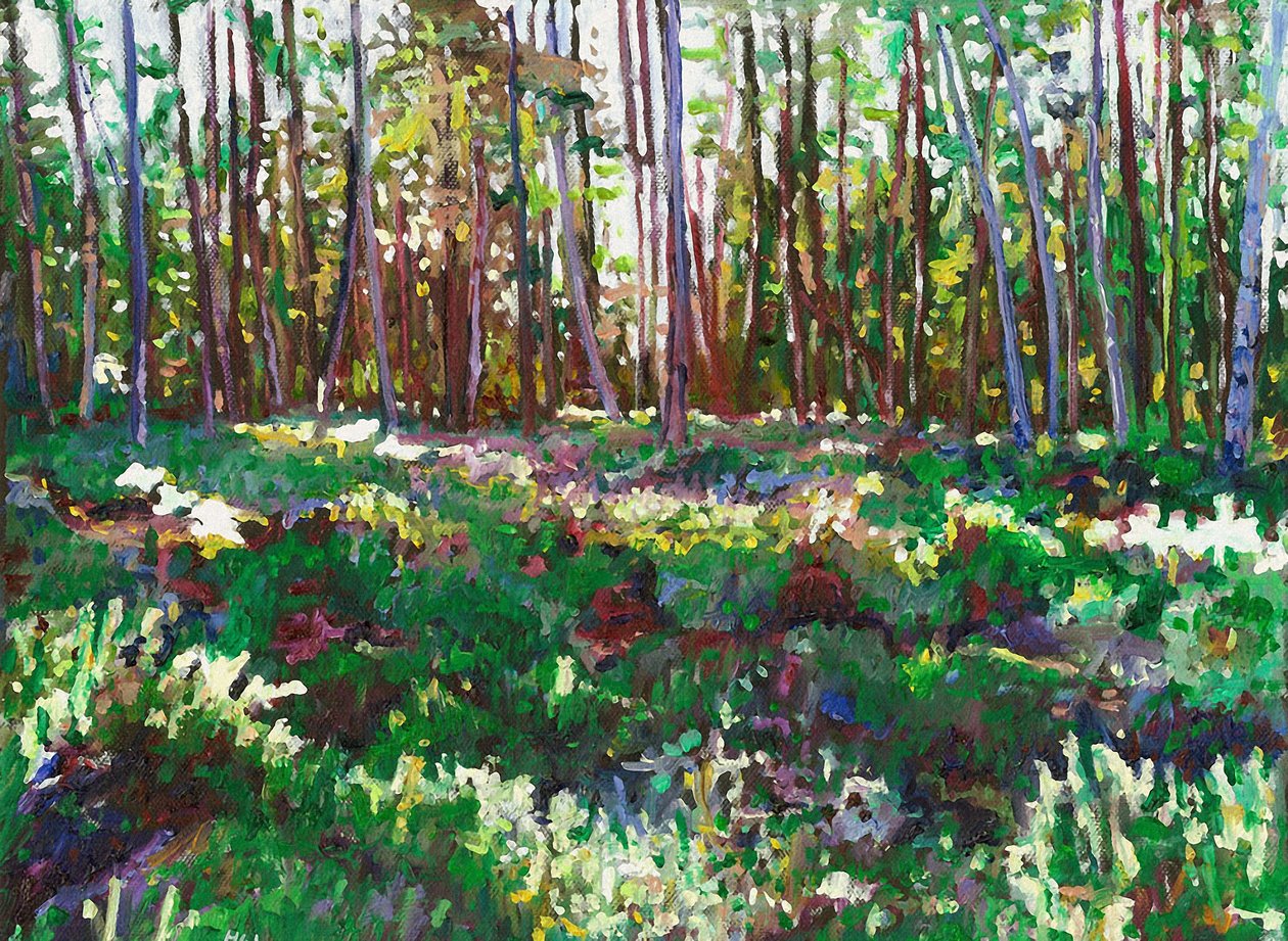 Sollys på Heather, 2011 af Helen White