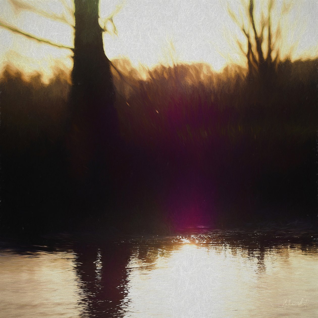 Violet Haze, 2018, af Helen White