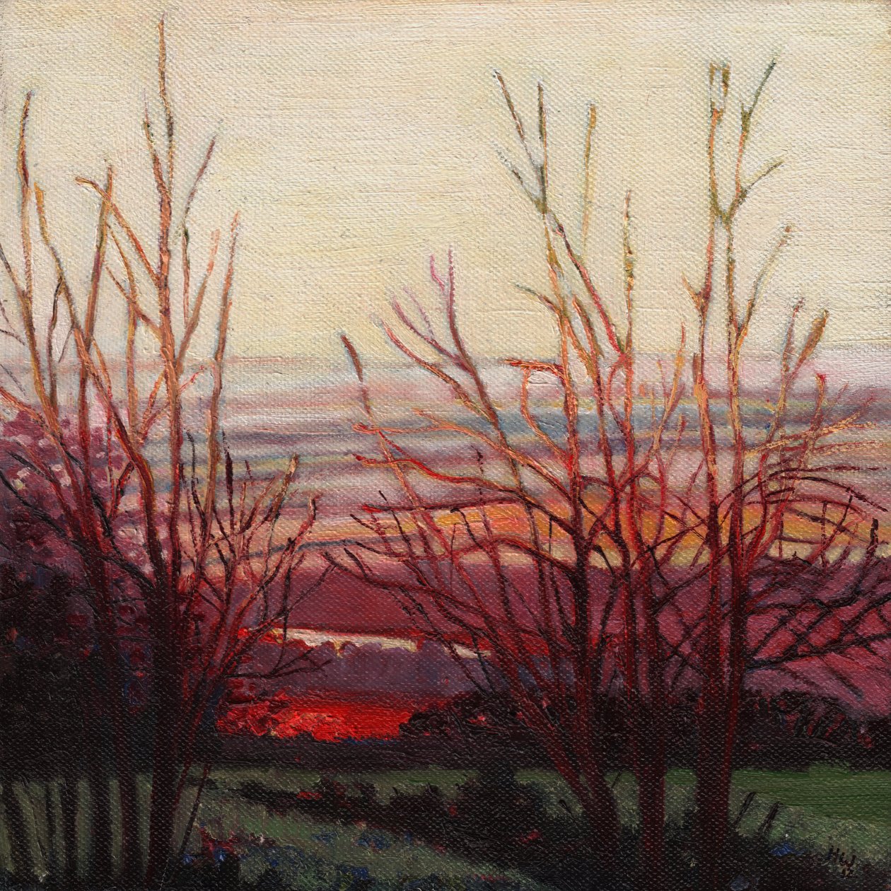 Winters light, 2012, af Helen White