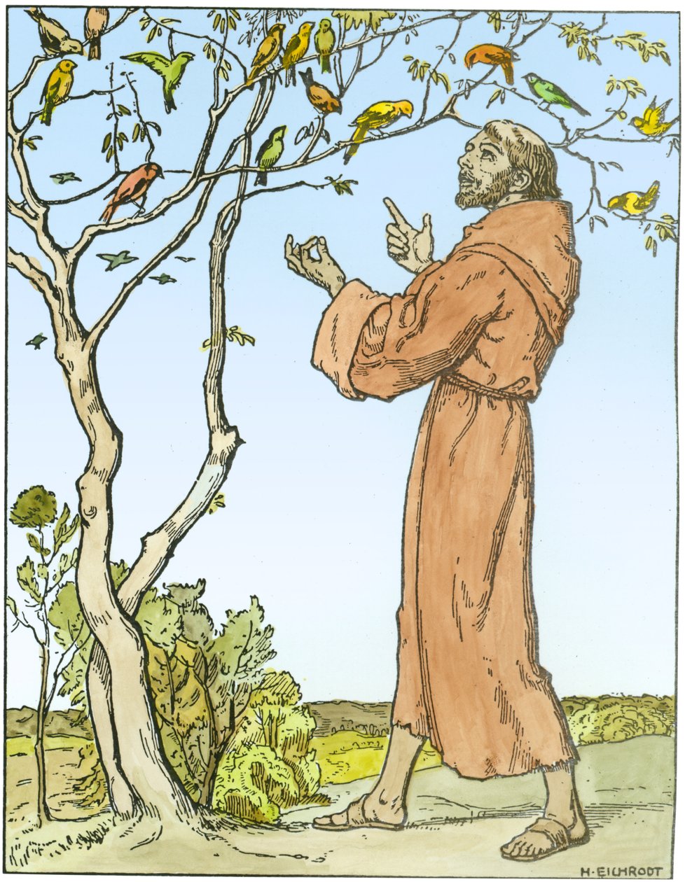 St. Frans af Assisi (ca. 1181-1226) prædiker for fuglene (senere farvelægning) af Hellmut Eichrodt