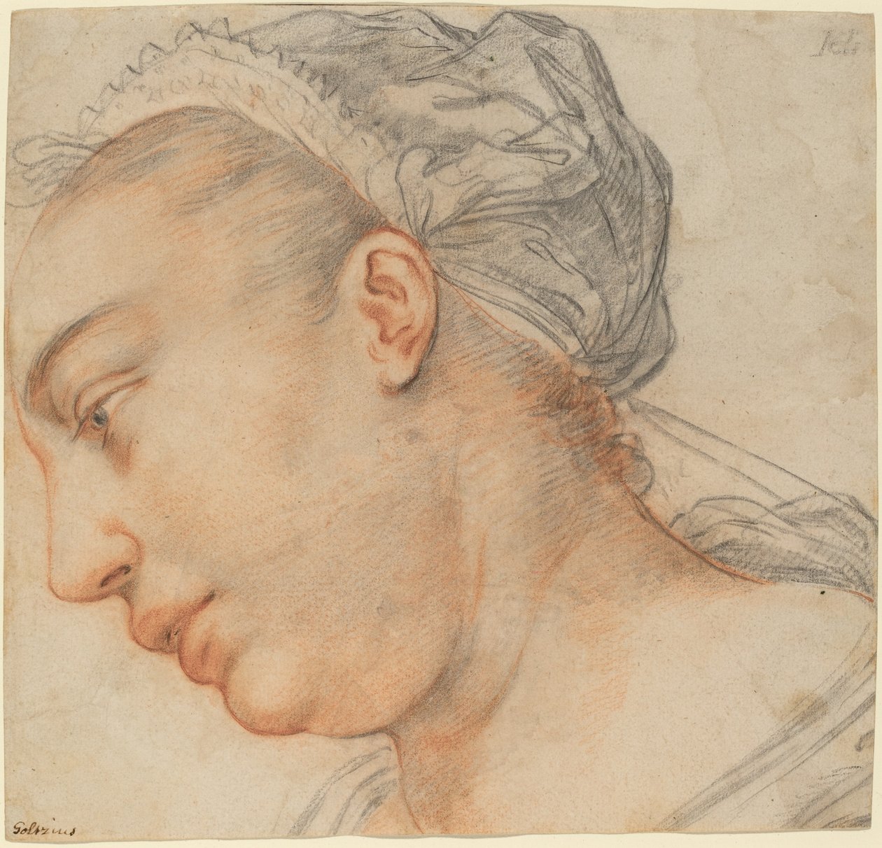 Leder af en ung kvinde af Hendrik Goltzius