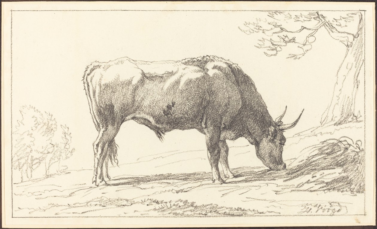En ung Tyr, der græsser af Hendrik Voogd