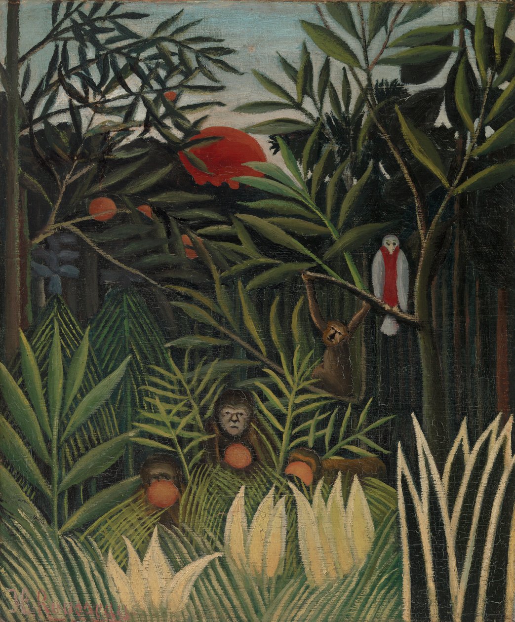 Aber og papegøjer i jomfruskoven af Henri Rousseau